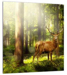 Obraz jelena v lese (30x30 cm)