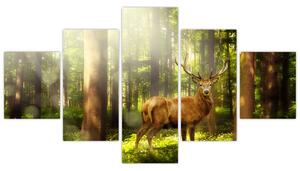 Obraz jelena v lese (125x70 cm)
