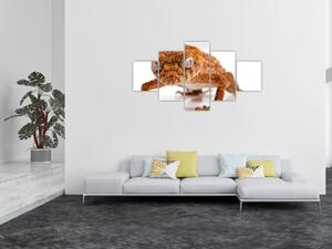 Obraz ještěrky (125x70 cm)