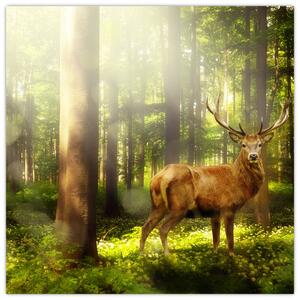 Obraz jelena v lese (30x30 cm)