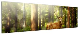 Obraz jelena v lese (170x50 cm)