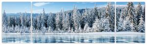 Obraz zamrzlého jezera a zasněžených stromů (170x50 cm)