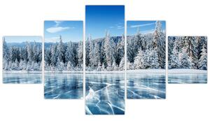Obraz zamrzlého jezera a zasněžených stromů (125x70 cm)