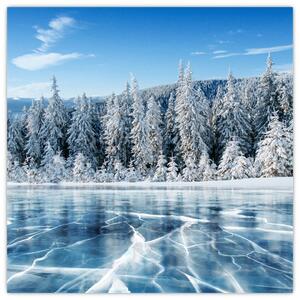 Obraz zamrzlého jezera a zasněžených stromů (30x30 cm)