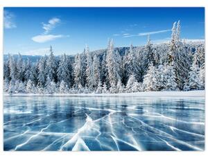 Obraz zamrzlého jezera a zasněžených stromů (70x50 cm)