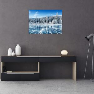 Obraz zamrzlého jezera a zasněžených stromů (70x50 cm)