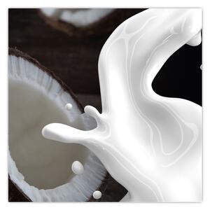 Obraz - kokosové mléko (30x30 cm)