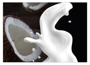 Obraz - kokosové mléko (70x50 cm)