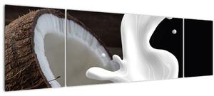 Obraz - kokosové mléko (170x50 cm)