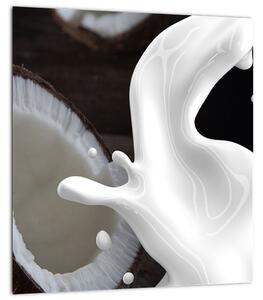 Obraz - kokosové mléko (30x30 cm)