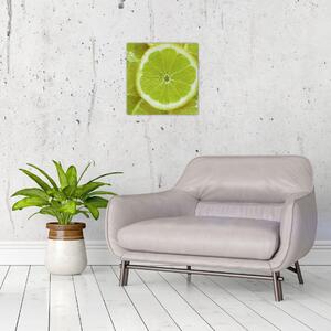 Obraz - citróny na řezu (30x30 cm)