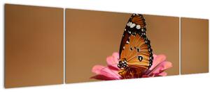 Obraz motýla na květině (170x50 cm)