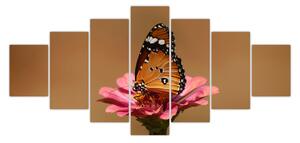 Obraz motýla na květině (210x100 cm)