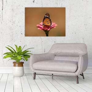 Obraz motýla na květině (70x50 cm)