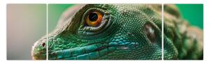 Detailní obraz ještěra (170x50 cm)