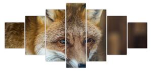 Obraz lišky (210x100 cm)