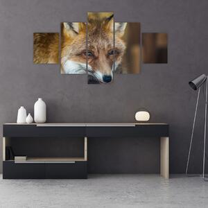 Obraz lišky (125x70 cm)