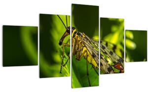 Obraz hmyzu (125x70 cm)