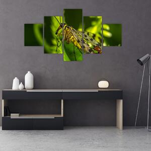 Obraz hmyzu (125x70 cm)