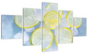 Obraz citrónů v ledu (125x70 cm)