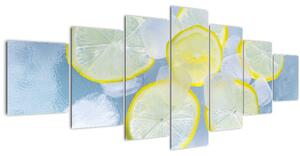 Obraz citrónů v ledu (210x100 cm)