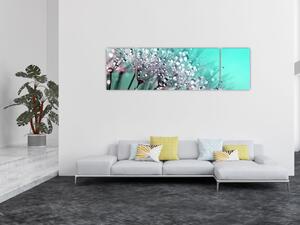 Obraz - orosená rostlina (170x50 cm)