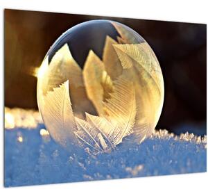Obraz zamrzlé bubliny (70x50 cm)