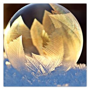 Obraz zamrzlé bubliny (30x30 cm)