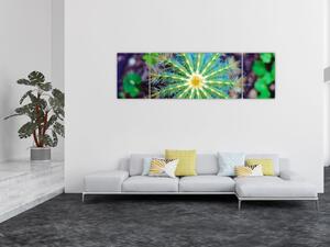 Obraz kaktusu (170x50 cm)