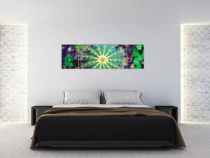 Obraz kaktusu (170x50 cm)