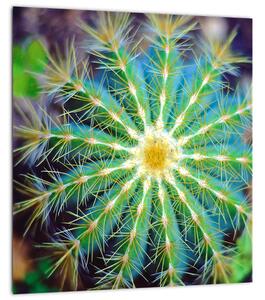 Obraz kaktusu (30x30 cm)