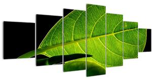 Obraz - zelený list (210x100 cm)