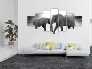 Obraz slonů (210x100 cm)