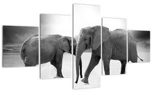 Obraz slonů (125x70 cm)
