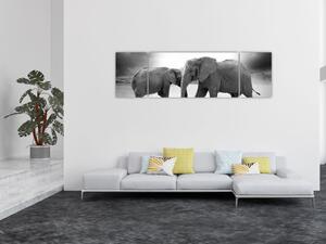Obraz slonů (170x50 cm)
