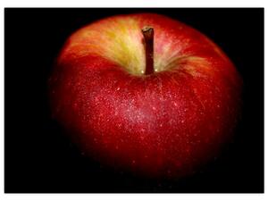 Obraz jablka na černém pozadí (70x50 cm)