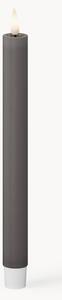 Ručně vyrobené LED svíčky Real Flame, V 24 cm, 2 ks