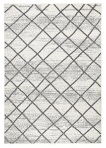Zala Living - Hanse Home koberce Kusový koberec Capri 102552 Šedá - 70x140 cm