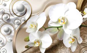 Fototapeta - Bílé orchideje (152,5x104 cm)