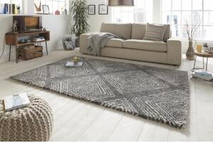 Mint Rugs - Hanse Home koberce Kusový koberec Allure 102763 grau creme Šedá - 160x230 cm