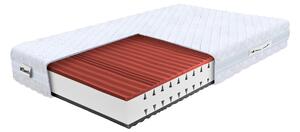 Pěnová zdravotní matrace Argento 100x200x22 - potah Silver