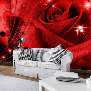 Fototapeta - Červená růže (152,5x104 cm)