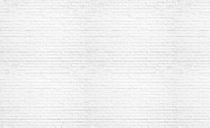 Fototapeta - Bílá zeď (152,5x104 cm)