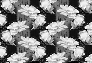 Fototapeta - Květinový vzor - černobílý (254x184 cm)