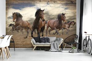 Fototapeta - Cval koně na dřevěných prken (152,5x104 cm)