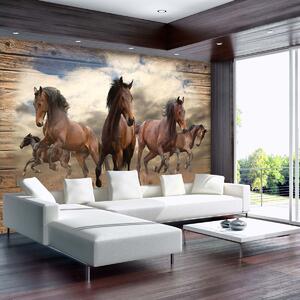 Fototapeta - Cval koně na dřevěných prken (254x184 cm)