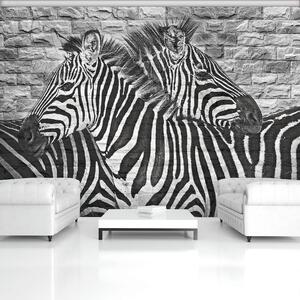 Fototapeta - Malované zebry na cihlovou zeď (152,5x104 cm)