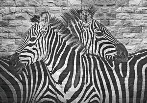 Fototapeta - Malované zebry na cihlovou zeď (254x184 cm)