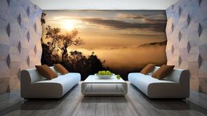 Fototapeta - Východ slunce nad mlhou lesa (254x184 cm)