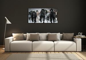 Moderní skleněný obraz z fotografie Koně ve cvalu osh-100599120